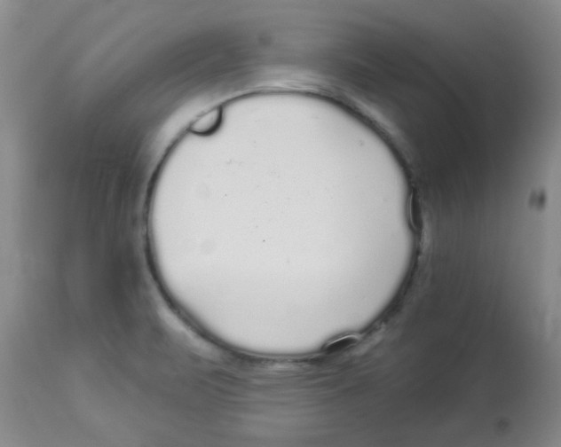 X0000113961471200910232018