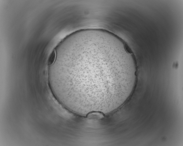 X0000113961472200910232018