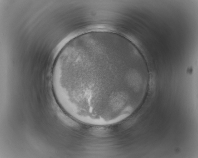 X0000113961474200910232018