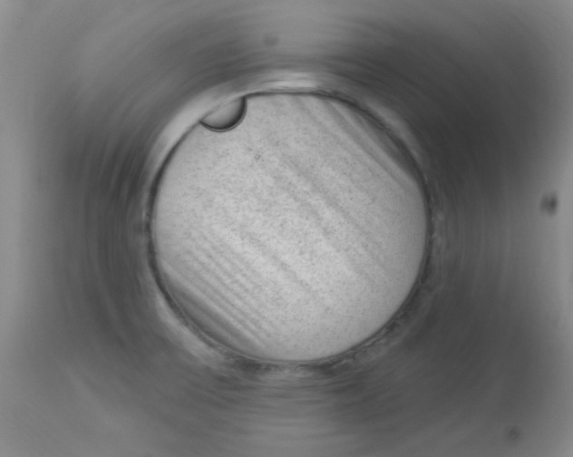 X0000113961475200910232018