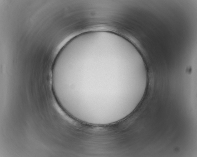 X0000113961476200910232018