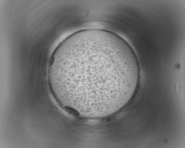 X0000113961477200910232018