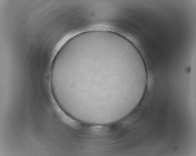 X0000113961478200910232018