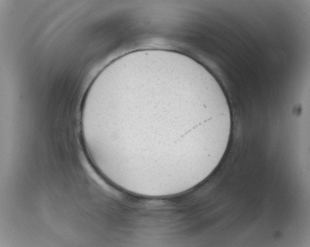 X0000113961479200910232018