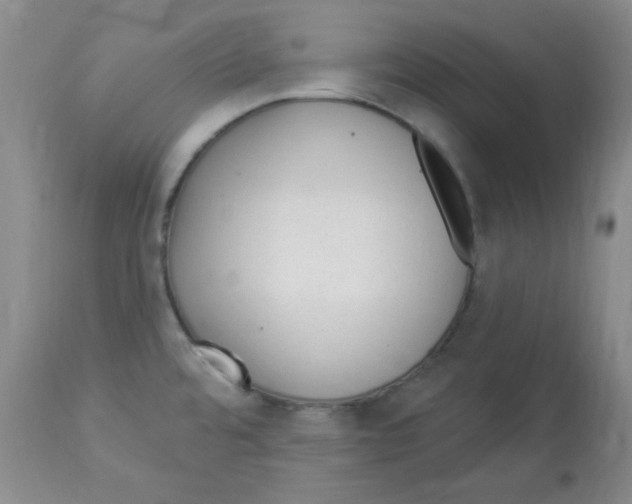 X0000113961480200910232018