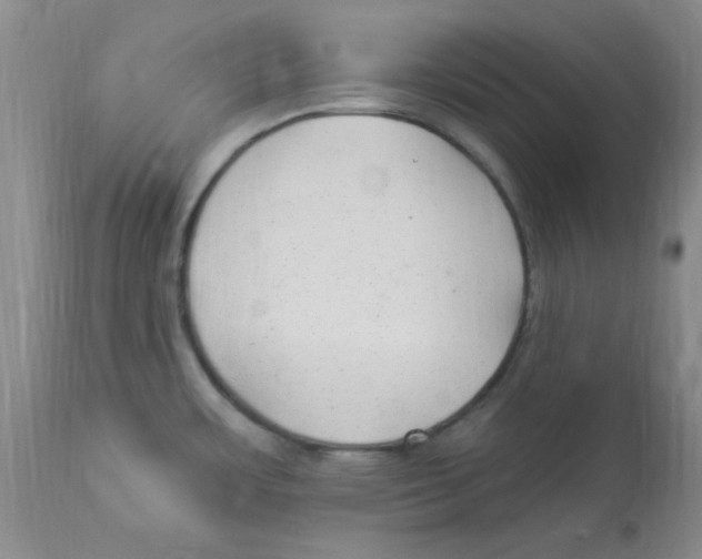 X0000113961483200910232018