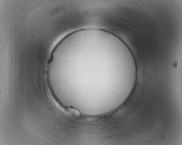 X0000113961484200910232018