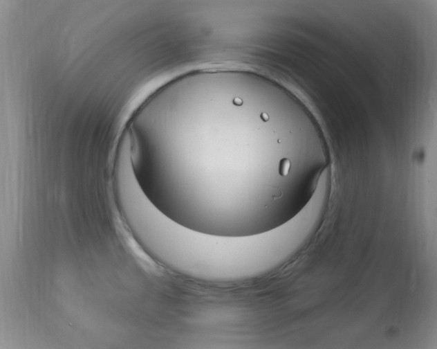 X0000113961485200910232018