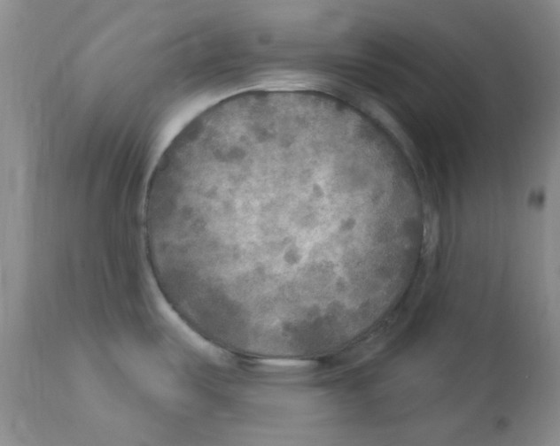 X0000113961487200910232018