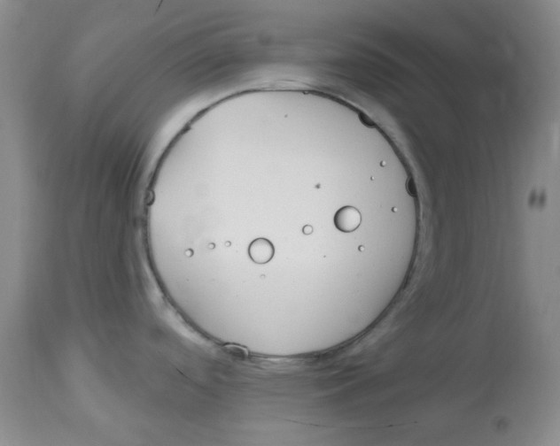 X0000113961488200910232018