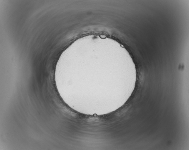 X0000113961489200910232017