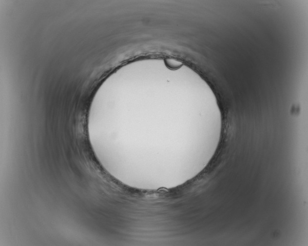 X0000113961490200910232017