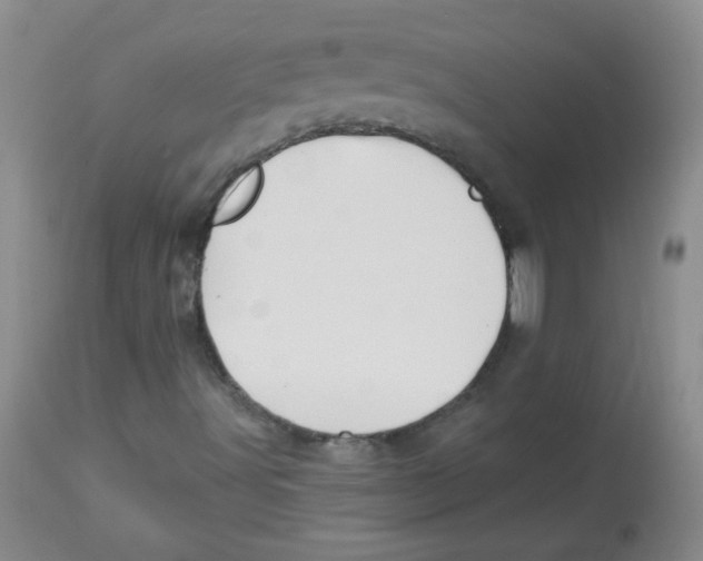 X0000113961491200910232017