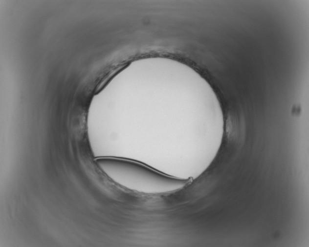 X0000113961492200910232017