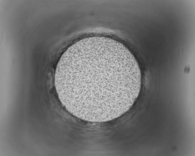 X0000113961493200910232017