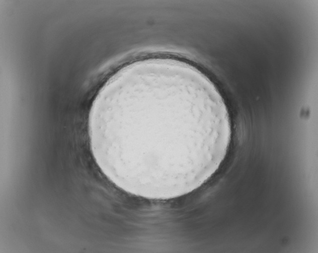 X0000113961494200910232017