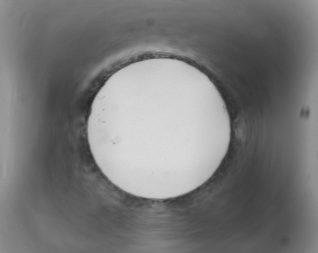 X0000113961495200910232017