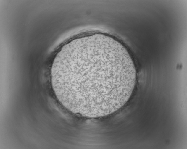 X0000113961496200910232017