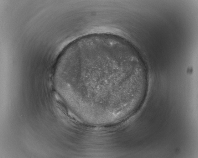 X0000113961497200910232017