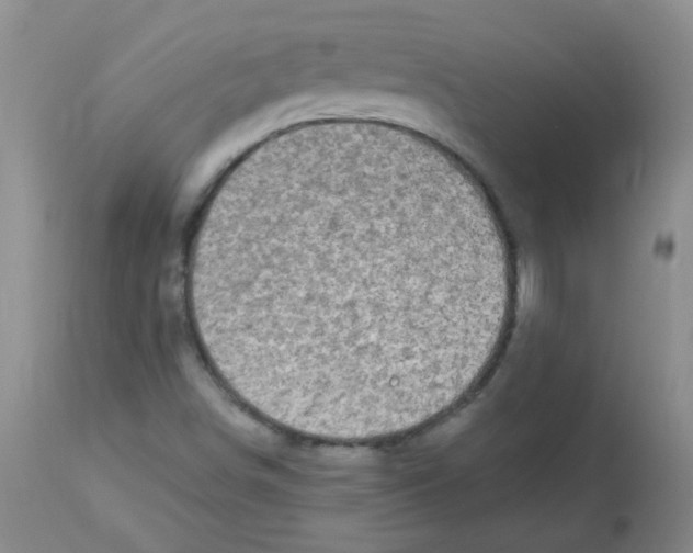 X0000113961498200910232017