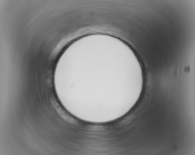 X0000113961499200910232017