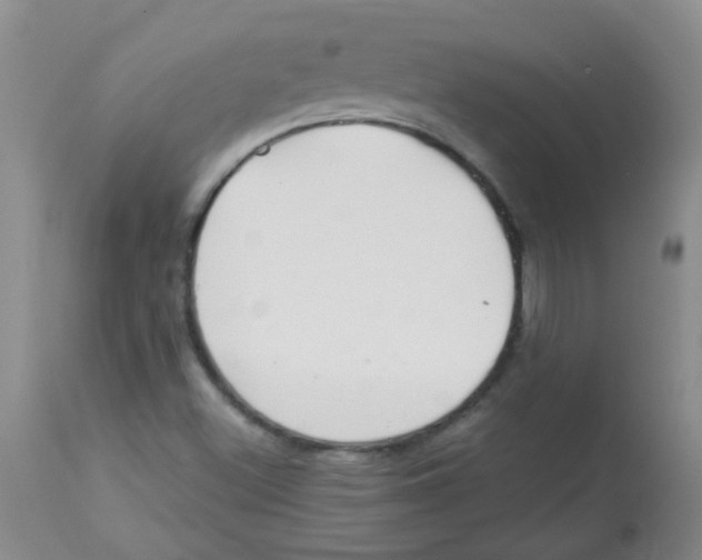 X0000113961500200910232017