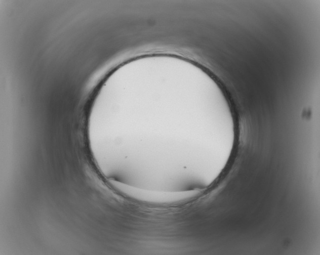 X0000113961502200910232017