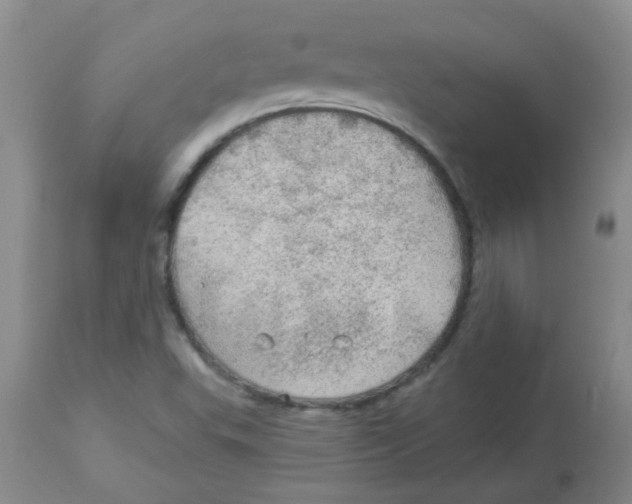 X0000113961503200910232017