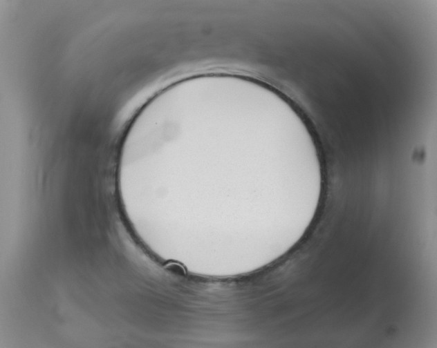 X0000113961504200910232017