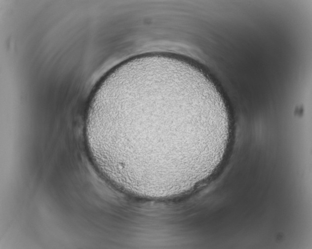 X0000113961505200910232017