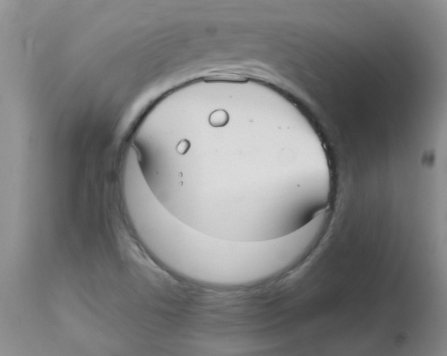 X0000113961506200910232017