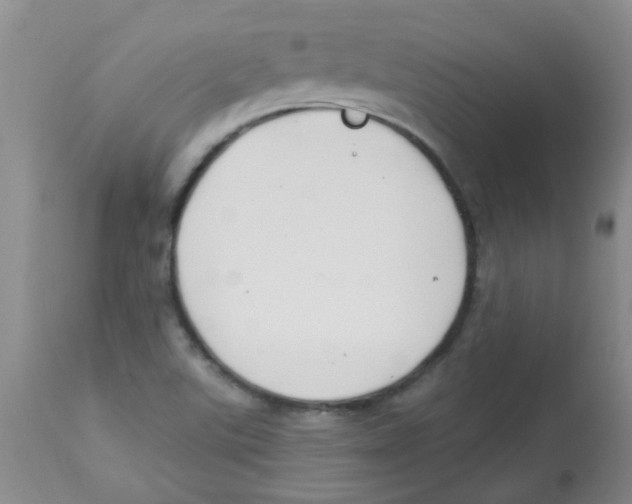 X0000113961507200910232017