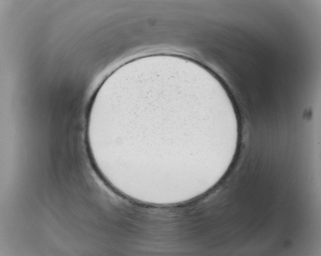 X0000113961508200910232017