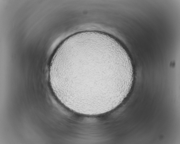 X0000113961509200910232017