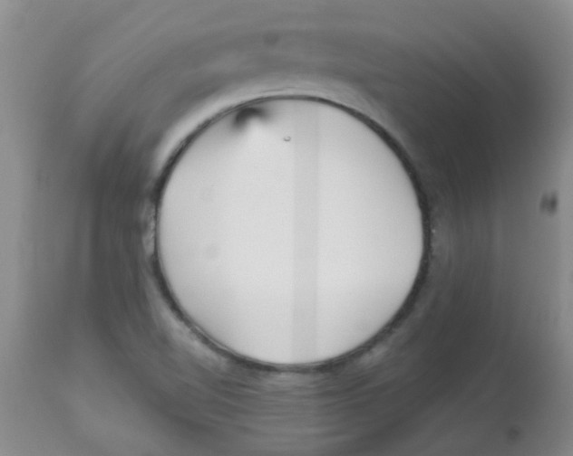 X0000113961510200910232017