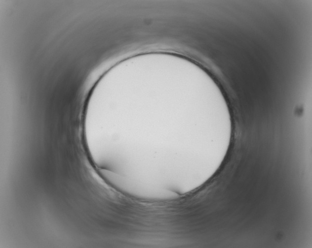 X0000113961512200910232017