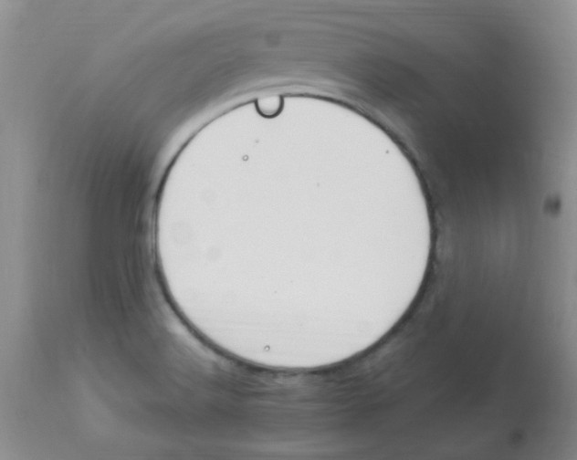 X0000113961516200910232017