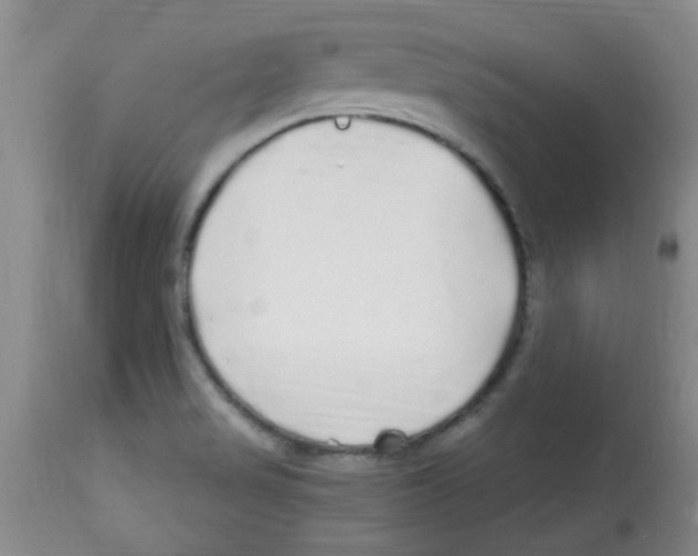 X0000113961517200910232017