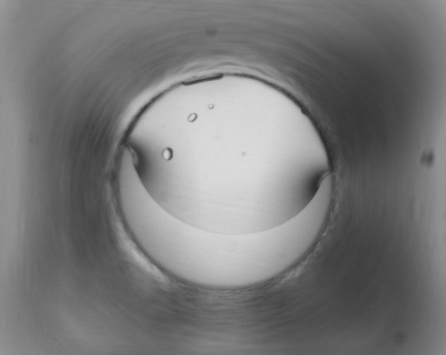 X0000113961518200910232017