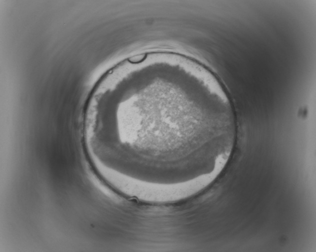 X0000113961519200910232017