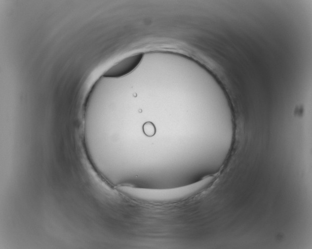 X0000113961520200910232017