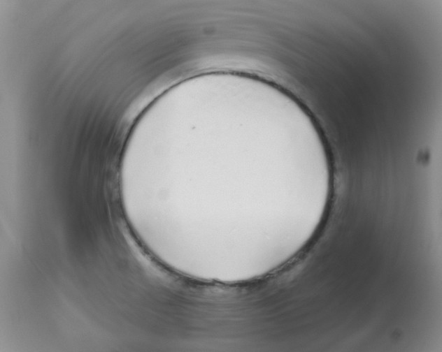 X0000113961521200910232017