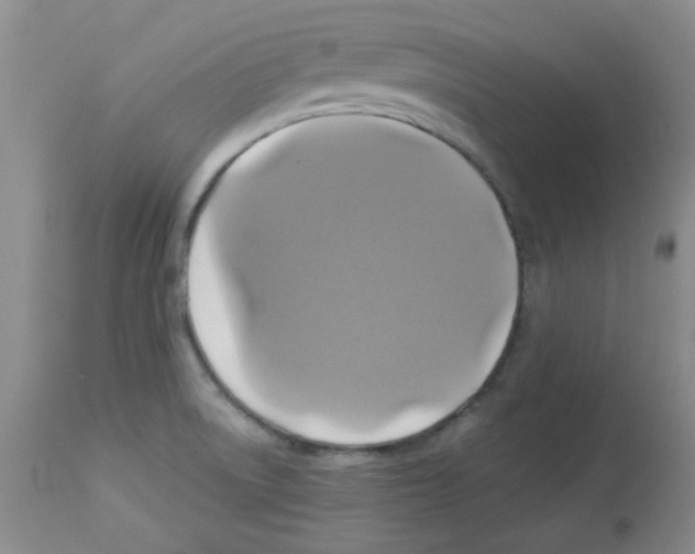 X0000113961522200910232017