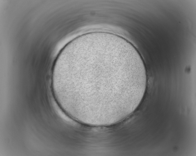 X0000113961523200910232017