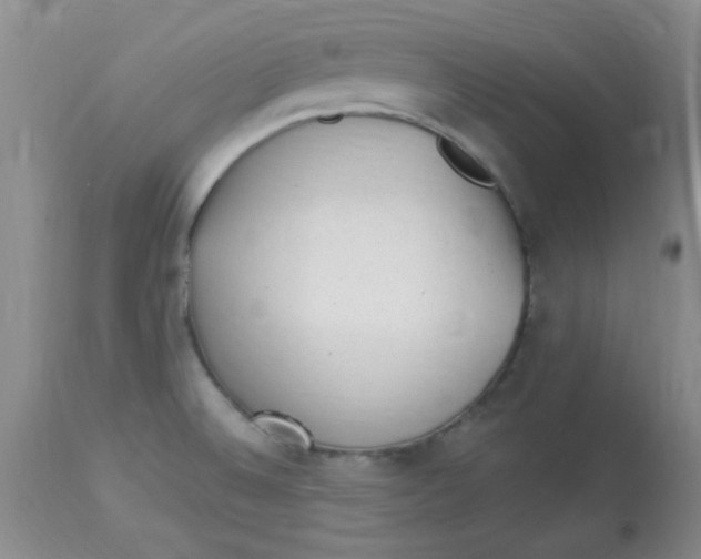 X0000113961524200910232017