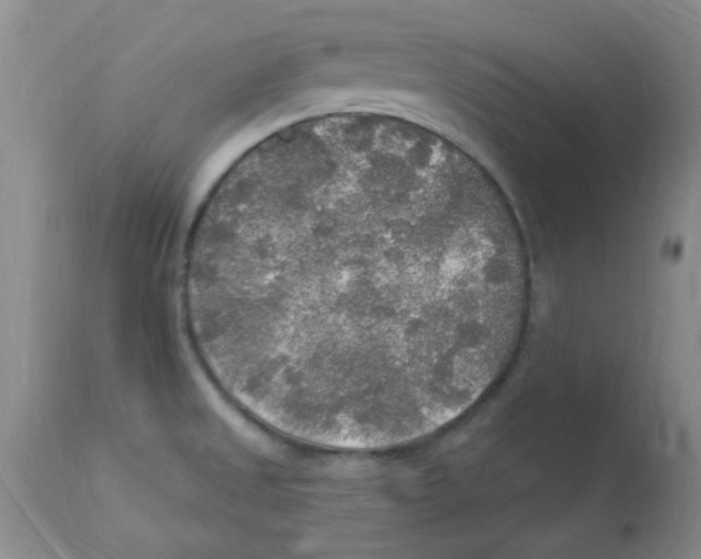 X0000113961525200910232017