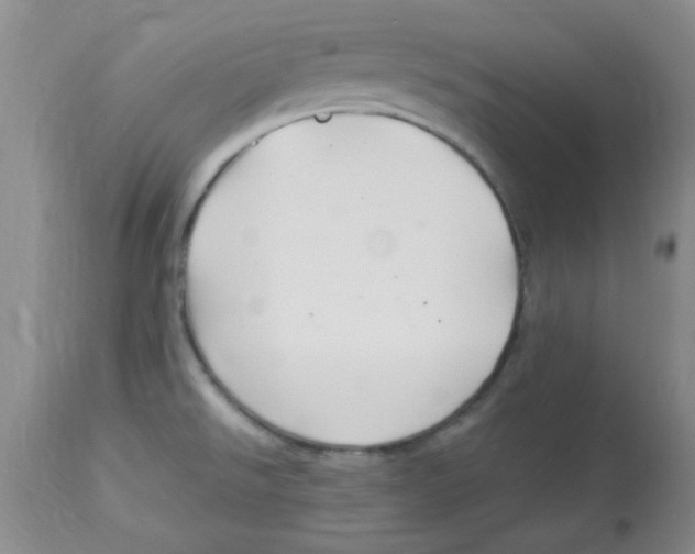 X0000113961526200910232018