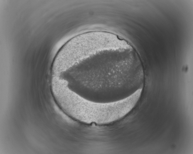 X0000113961527200910232018