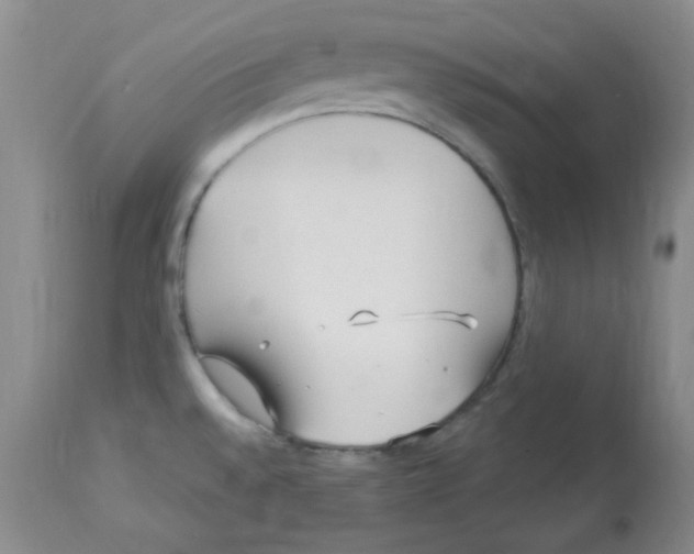 X0000113961528200910232018