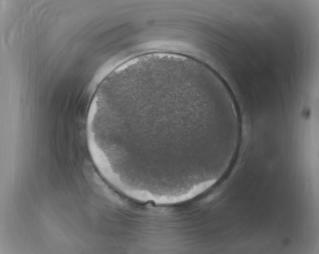 X0000113961529200910232018